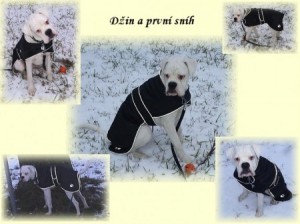 Obrázok